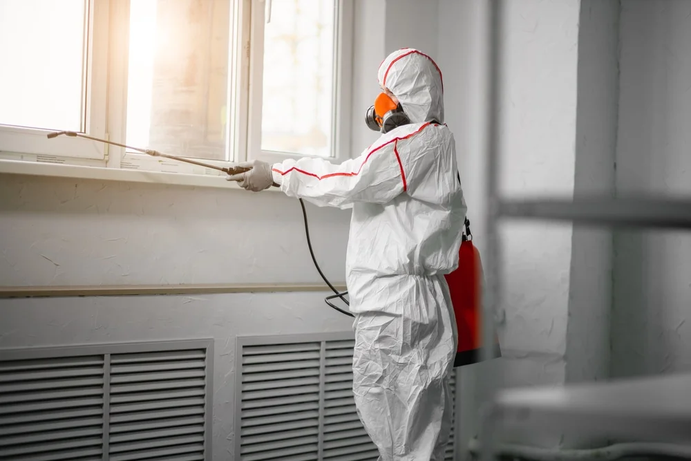 Professional mold remediation services in Slaughter, LA